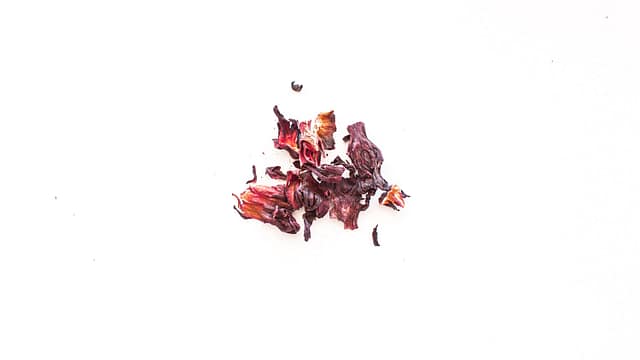 Hibiscus.jpg